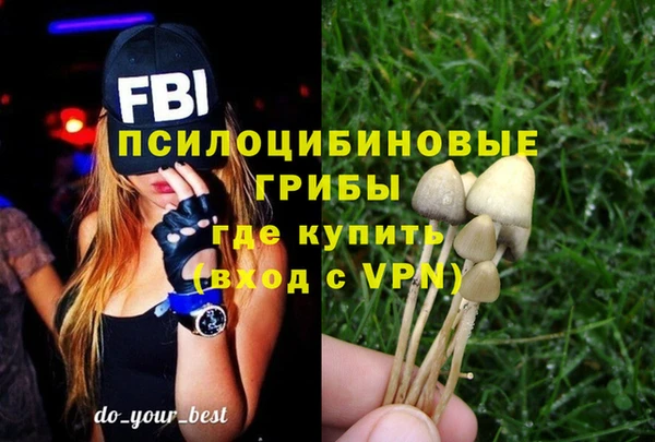 прущий лед Няндома