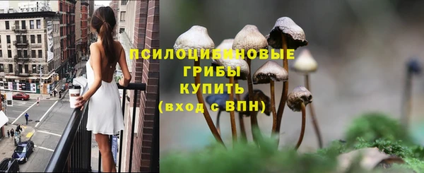 прущая мука Нязепетровск